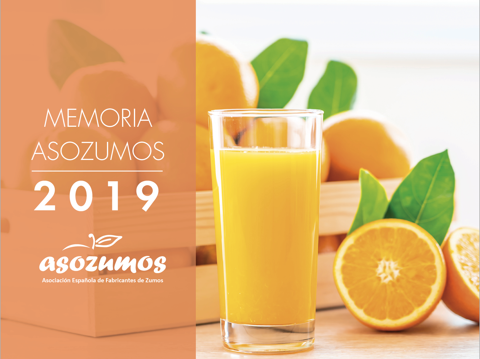 Memoria ASOZUMOS