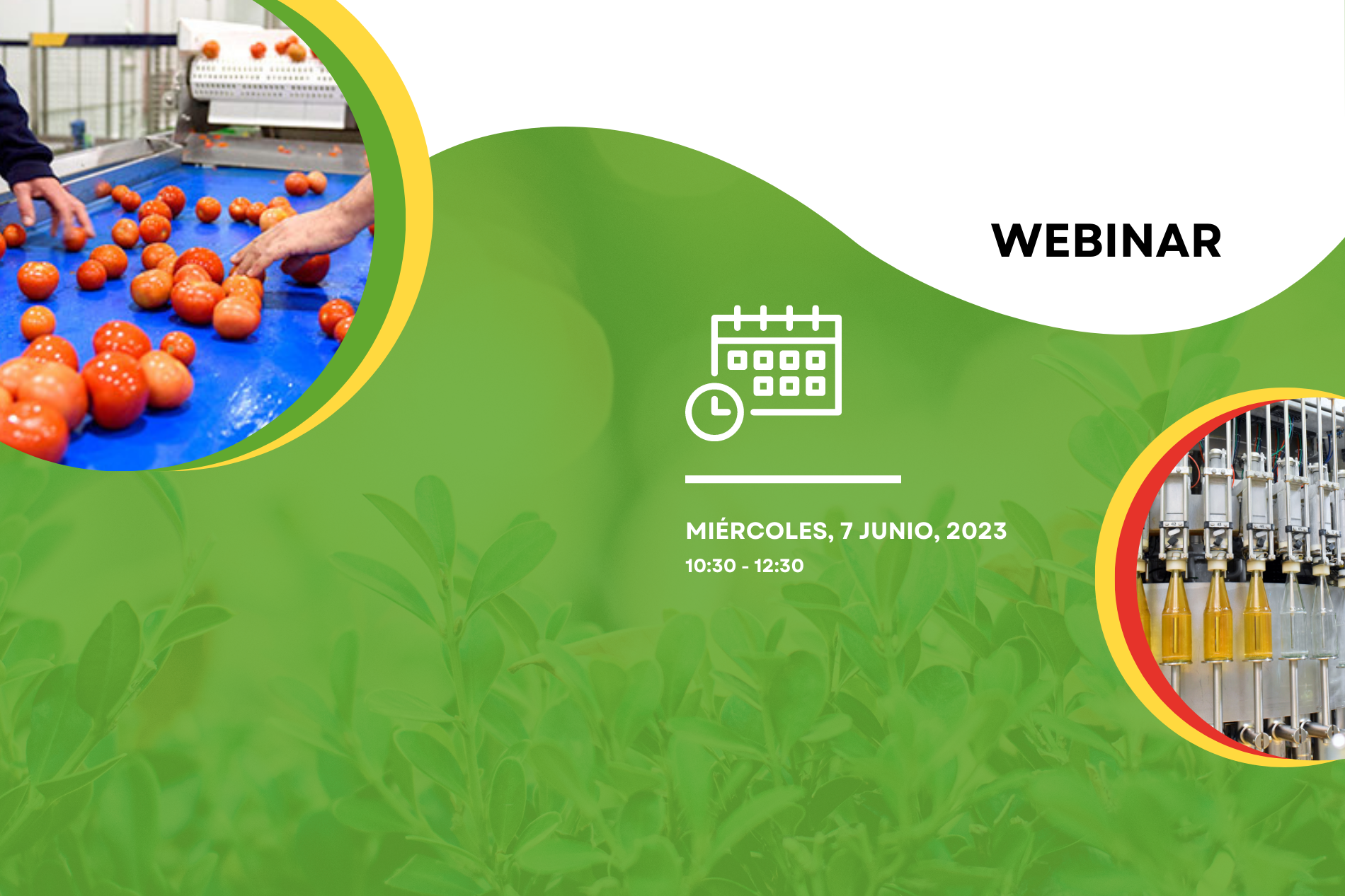 Webinar