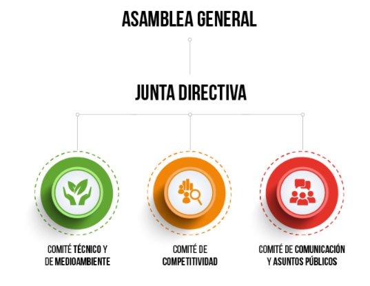 Junta directiva