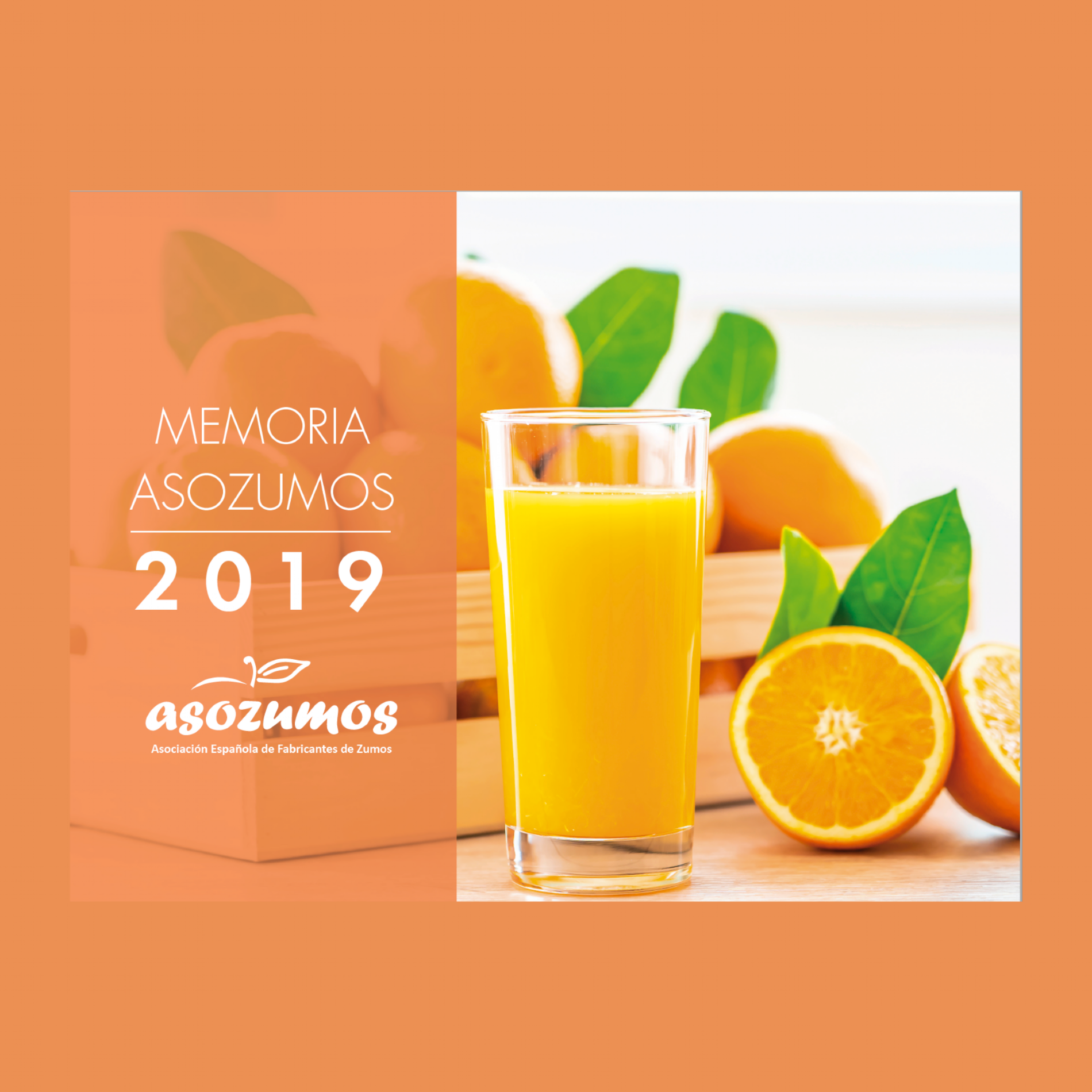 Memoria 2019